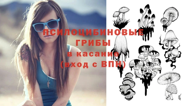 apvp Аркадак