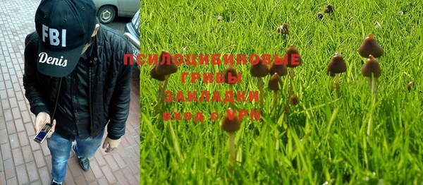 apvp Аркадак
